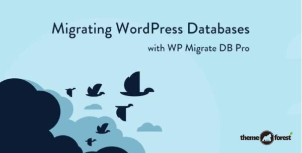 WP Migrate DB Pro – WordPress Site Migration Plugin 2.7.4