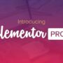 Elementor PRO WordPress Page Builder + Pro Templates 3.11.2