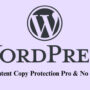 WP Content Copy Protection Pro & No Right Click 15.3