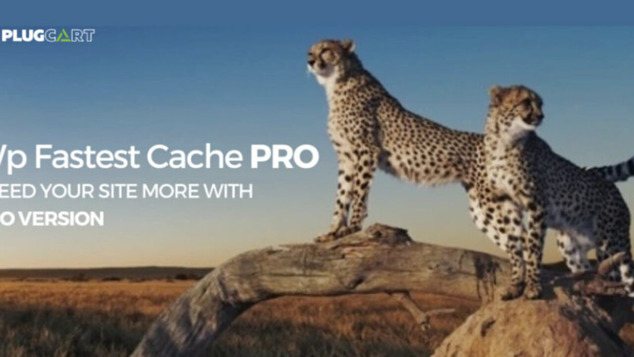 WP Fastest Cache Premium WordPress Plugin 1.7.2