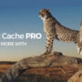 WP Fastest Cache Premium WordPress Plugin 1.7.2
