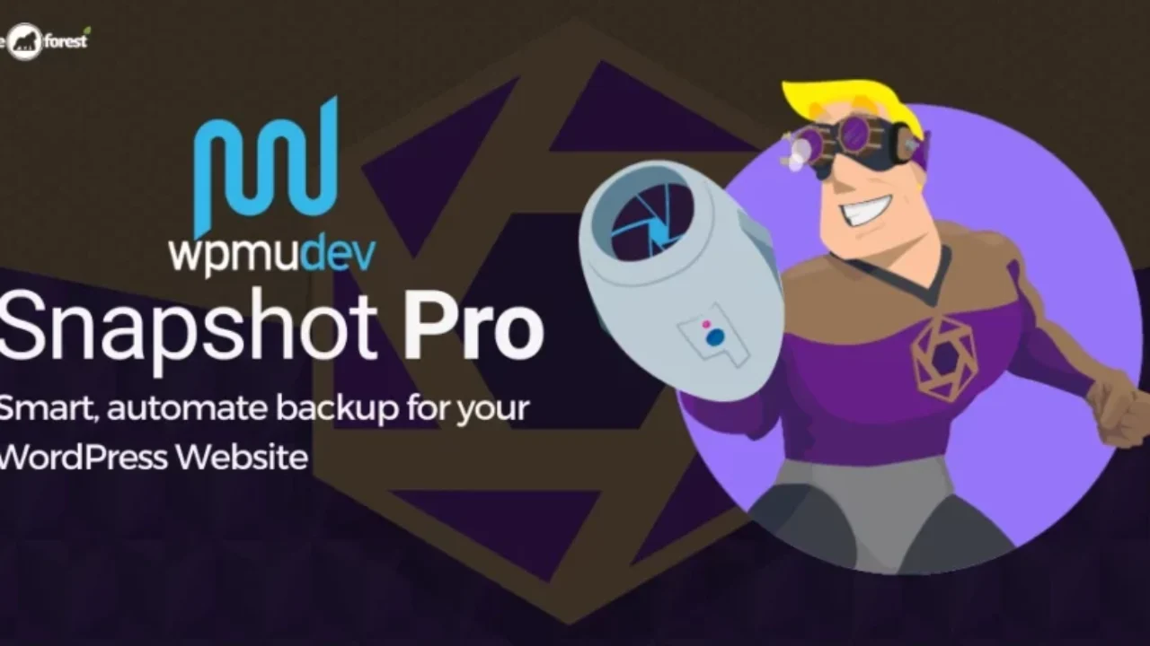 WPMU DEV Snapshot Pro 4.31.0