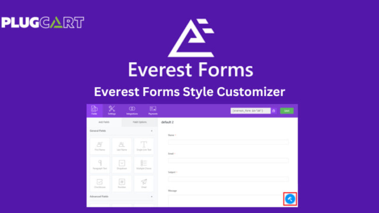 Everest Forms Style Customizer 1.1.7