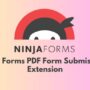 Ninja Forms PDF Form Submission Extension 3.2.4