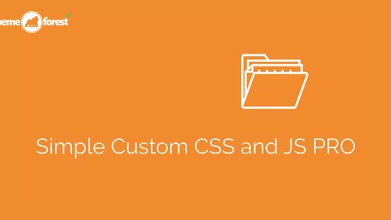 Simple Custom CSS and JS PRO 4.40