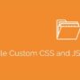Simple Custom CSS and JS PRO 4.40