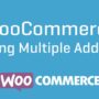 WooCommerce Shipping Multiple Addresses 4.2.8